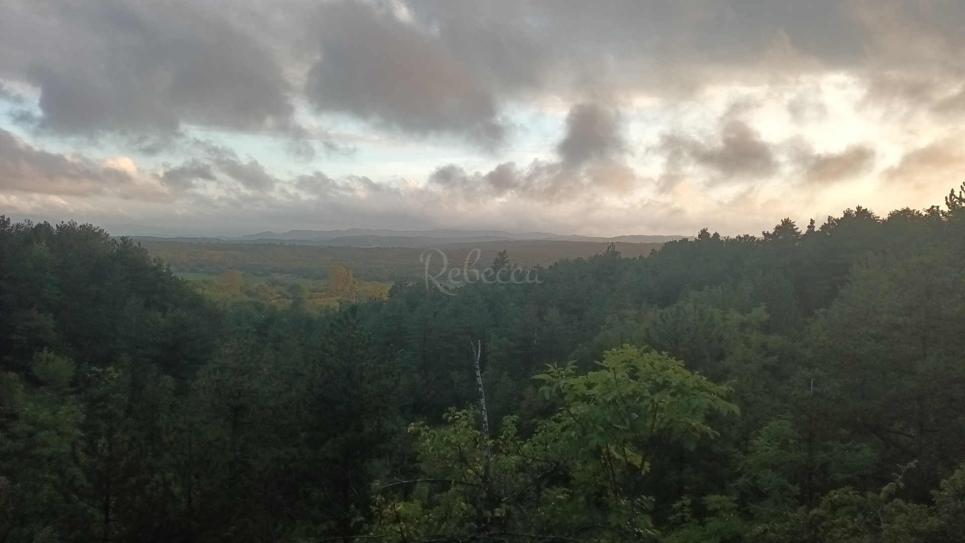 Pozemek Na prodej -  Roč