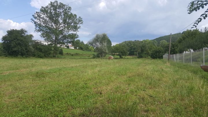 Grundstück zu verkaufen 10984 m² – Pazin