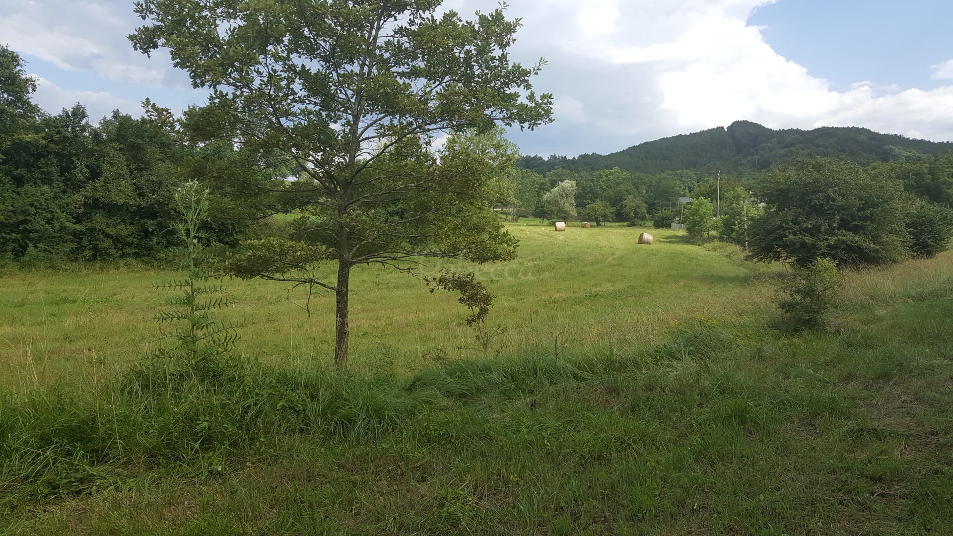 Parcela Na predaj - Istarska Pazin - foto 2/5