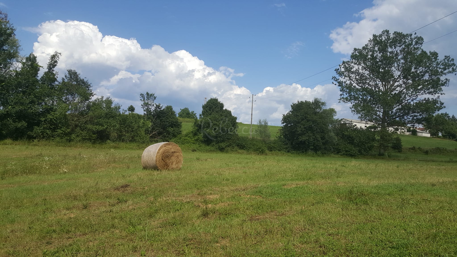 Parcela Na predaj - Istarska Pazin - foto 3/5