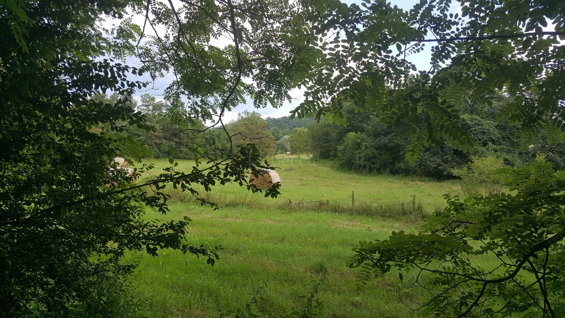 Parcela Na predaj - Istarska Pazin - foto 5/5
