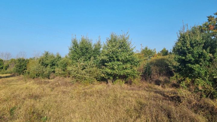 Parcela na predaj 3019 m² – Valbandon