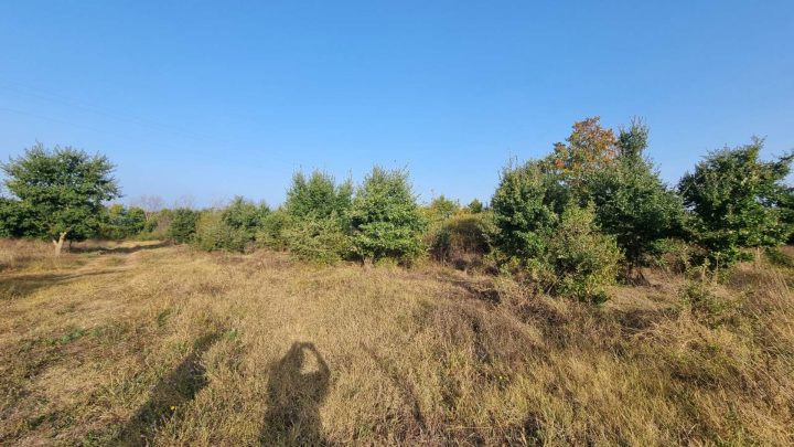 Grundstück Zu verkaufen - Istarska Valbandon - foto 2/4