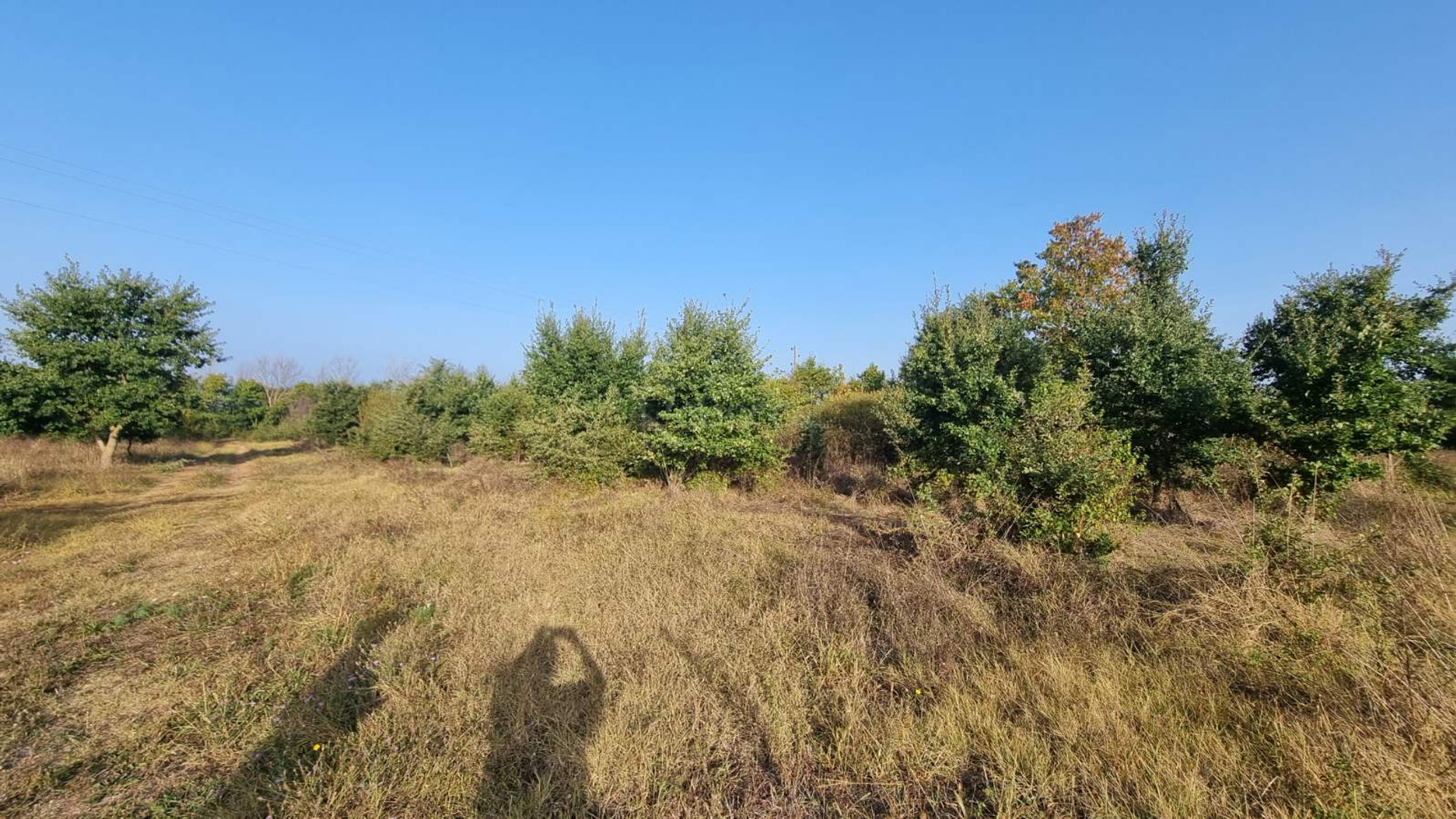 Terreno In vendita -  Valbandon