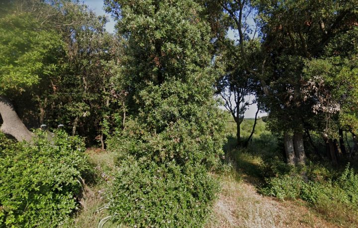 Land for sale 5100 m² – Pula