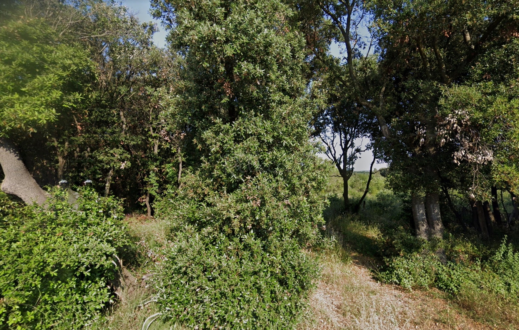 Terreno In vendita Pula
