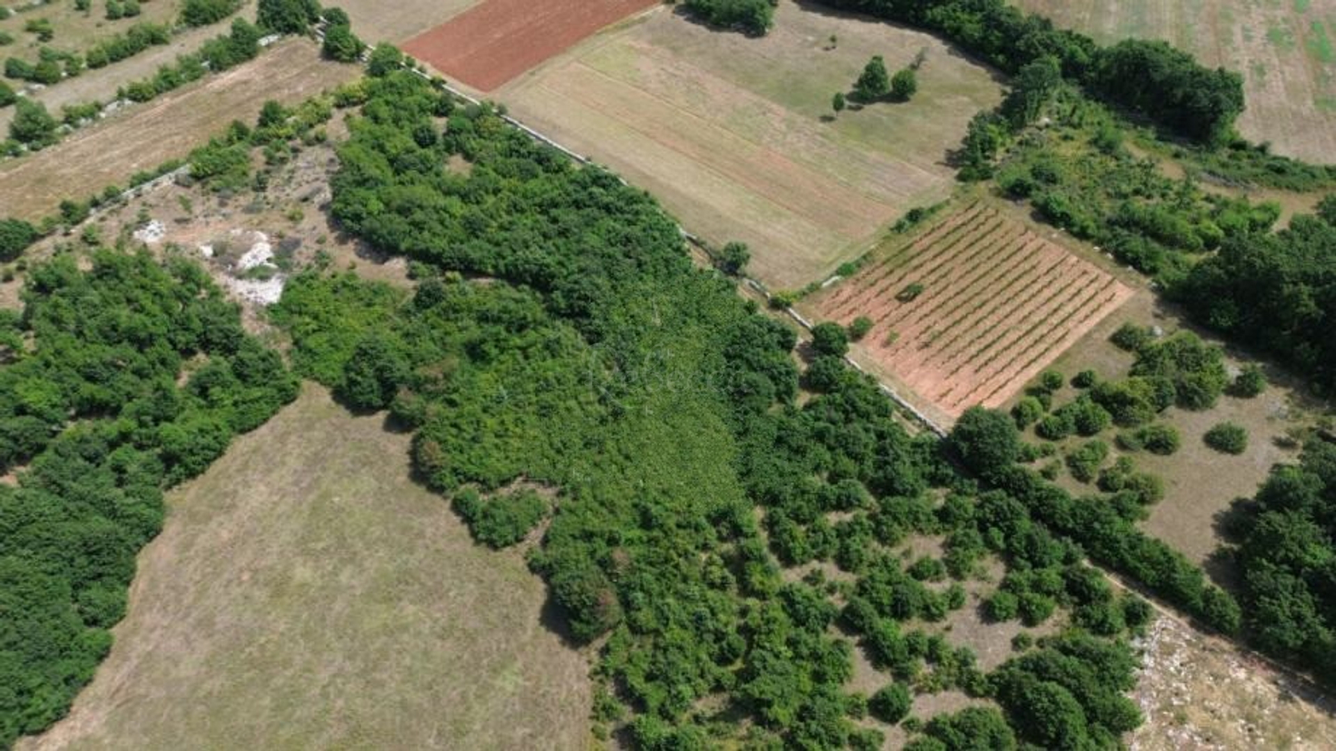 Terrain À vendre -  Smoljanci