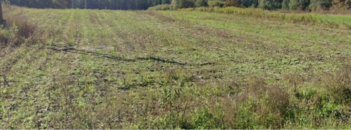 Terreno in vendita 2796 m² – Ližnjan