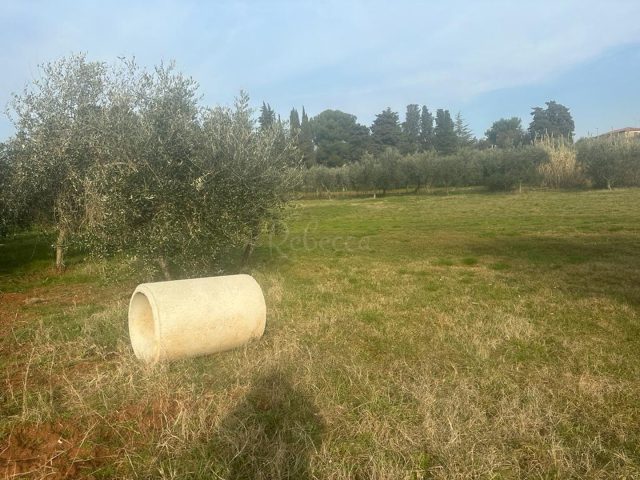 Grundstück Zu verkaufen - Istarska Umag - foto 4/13