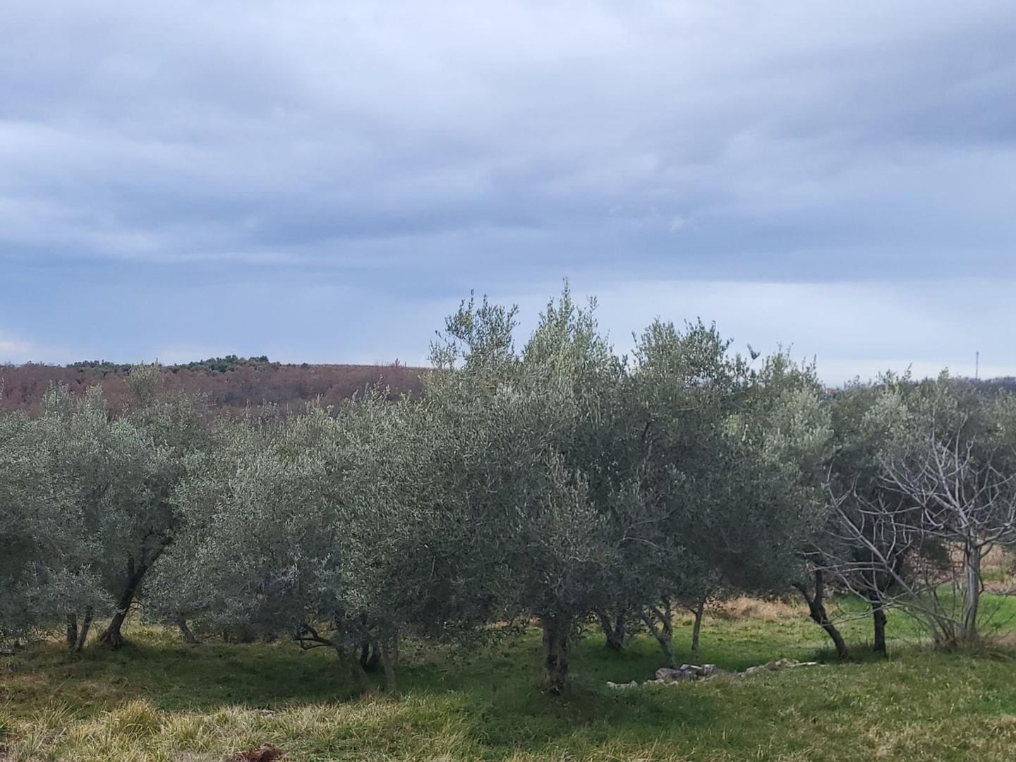 Kuća Na prodaju - Istarska Umag