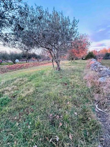 Land For sale - Istarska Kaštel - foto 2/2