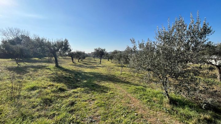 Terreno in vendita 1000 m² – Pula