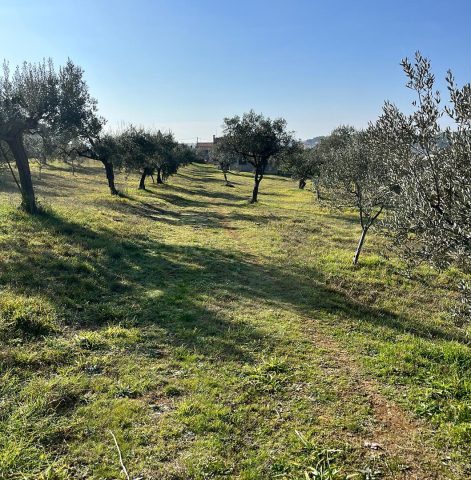 Land For sale - Istarska šijana - foto 2/2