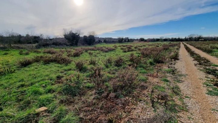 Działka na sprzedaż 4533 m² – Ližnjan