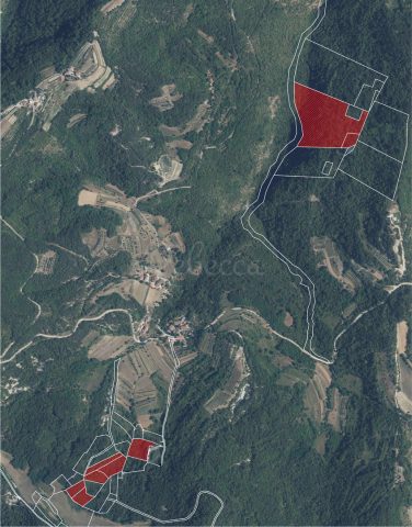 Grundstück zu verkaufen 55583 m² – Pazin