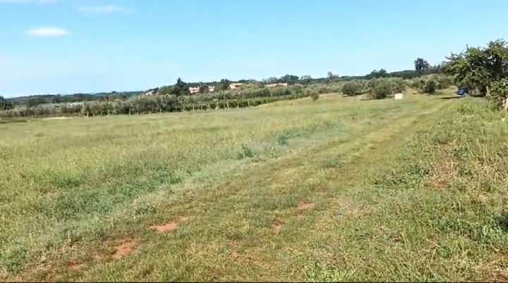 Parcela na predaj 7596 m² – Brtonigla