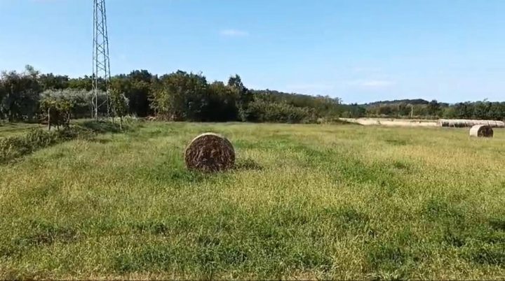 Działka Na sprzedaż - Istarska Brtonigla - foto 2/2