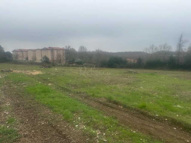 Terreno In vendita - Istarska Brtonigla - foto 5/6