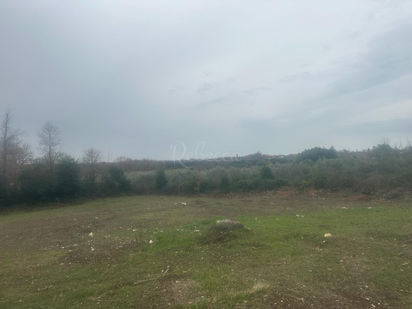 Terrain À vendre - Istarska Brtonigla - foto 4/6