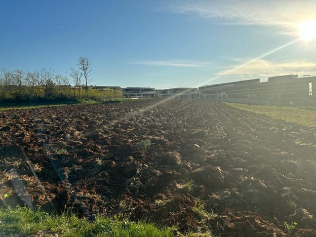 Terrain à vendre 10248 m² – Savudrija
