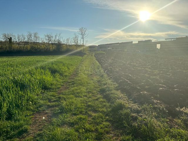 Pozemek Na prodej - Istarska Savudrija - foto 5/16