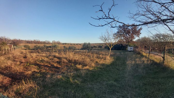 Land for sale 3411 m² – Umag