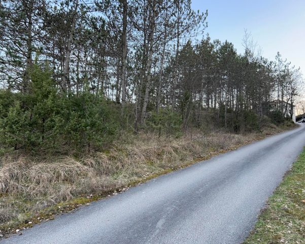Parcela Naprodaj - Istarska Gologorica - foto 3/7