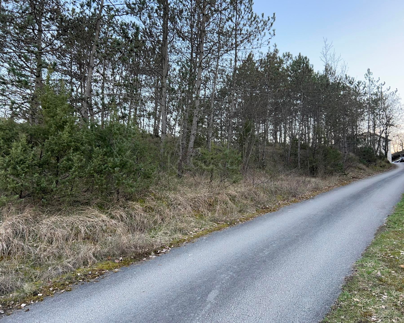 Działka Na sprzedaż -  Gologorica
