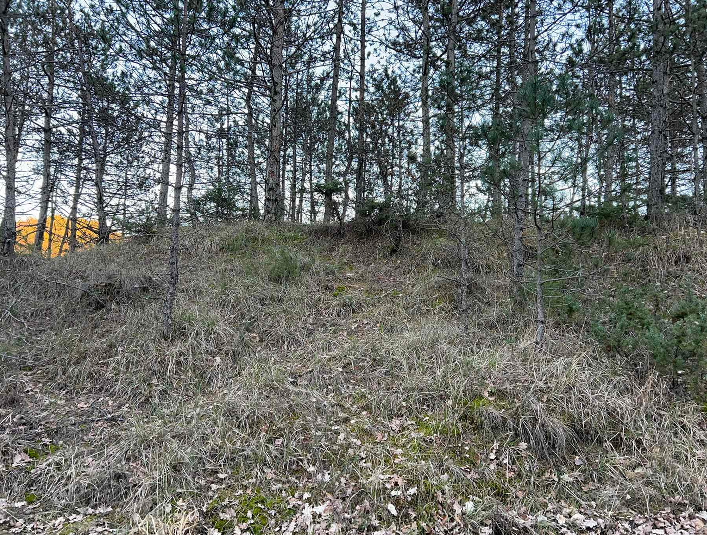 Działka Na sprzedaż -  Gologorica