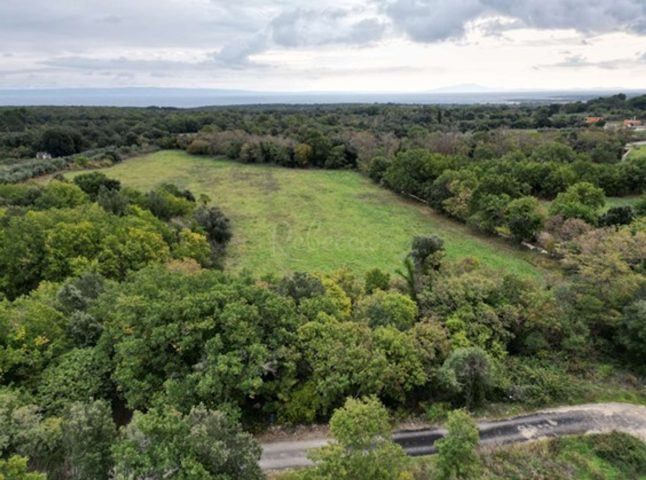 Zemljište na prodaju 15942 m² – Ližnjan