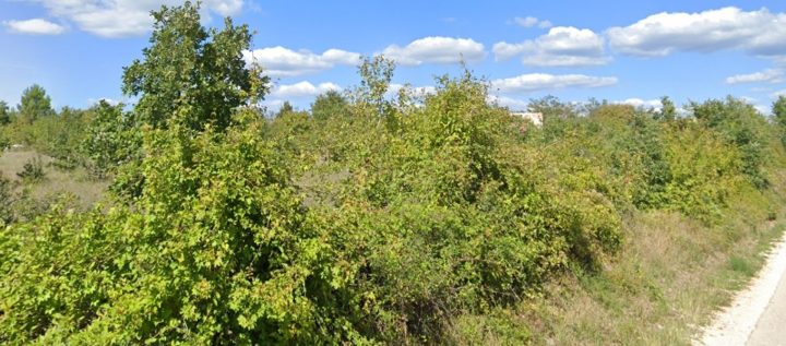 Terreno in vendita 3000 m² – Svetvinčenat