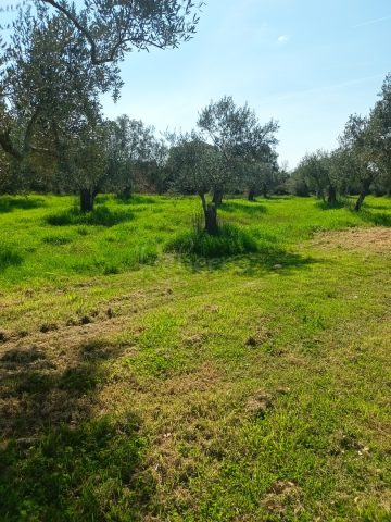Terreno In vendita - Istarska Peroj - foto 3/3