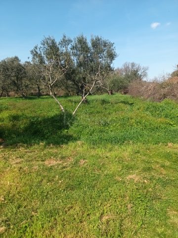 Parcela Naprodaj - Istarska Peroj - foto 4/4