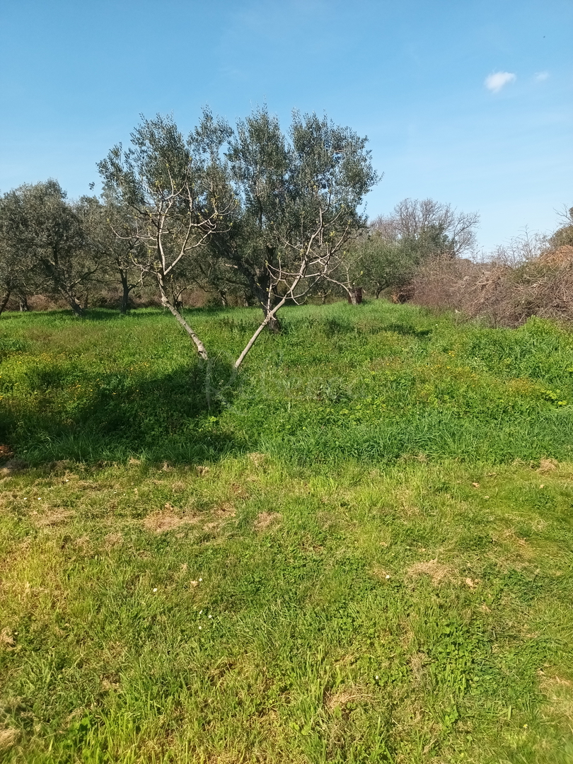 Parcela Naprodaj - Istarska Peroj