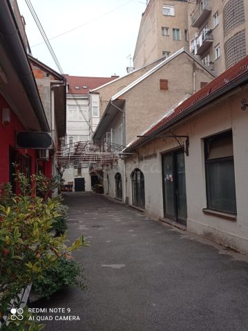 Locaux commerciaux à vendre 333 m² – Brezovica