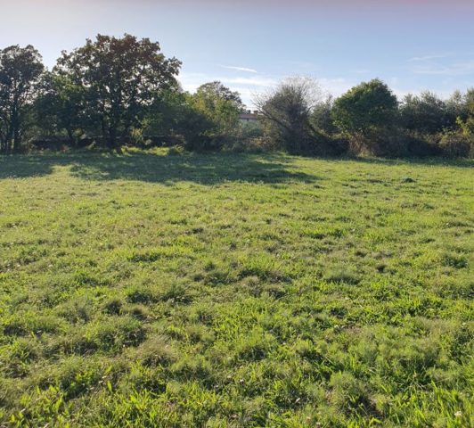 Pozemek na prodej 7600 m² – Krnica