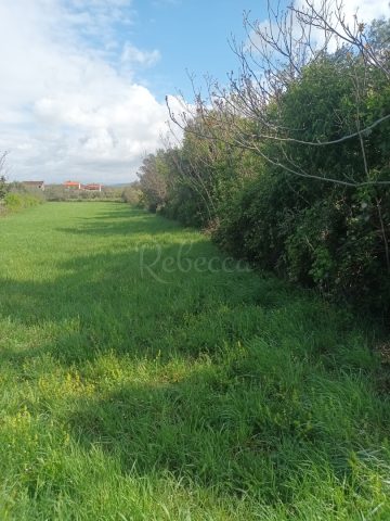 Zemljište na prodaju 1967 m² – Peruški