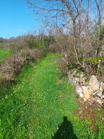 Działka Na sprzedaż - Istarska Peruški - foto 2/2