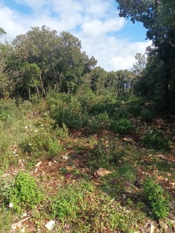 Zemljište na prodaju 1031 m² – Peruški