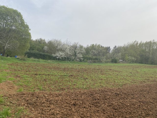 Grundstück zu verkaufen 2297 m² – Pazin