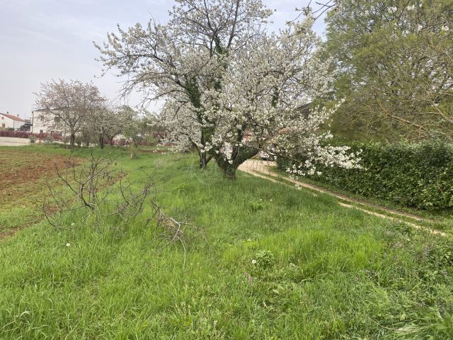 Land For sale - Istarska Pazin - foto 4/11
