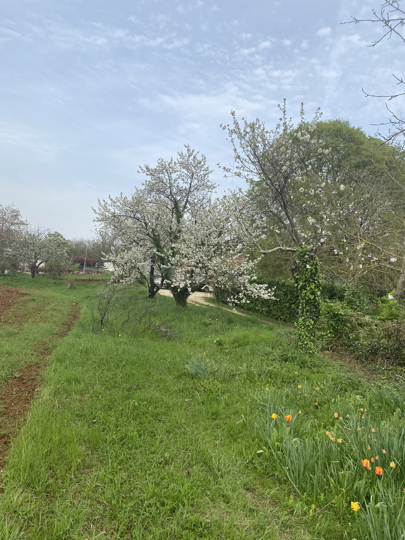 Działka Na sprzedaż - Istarska Pazin