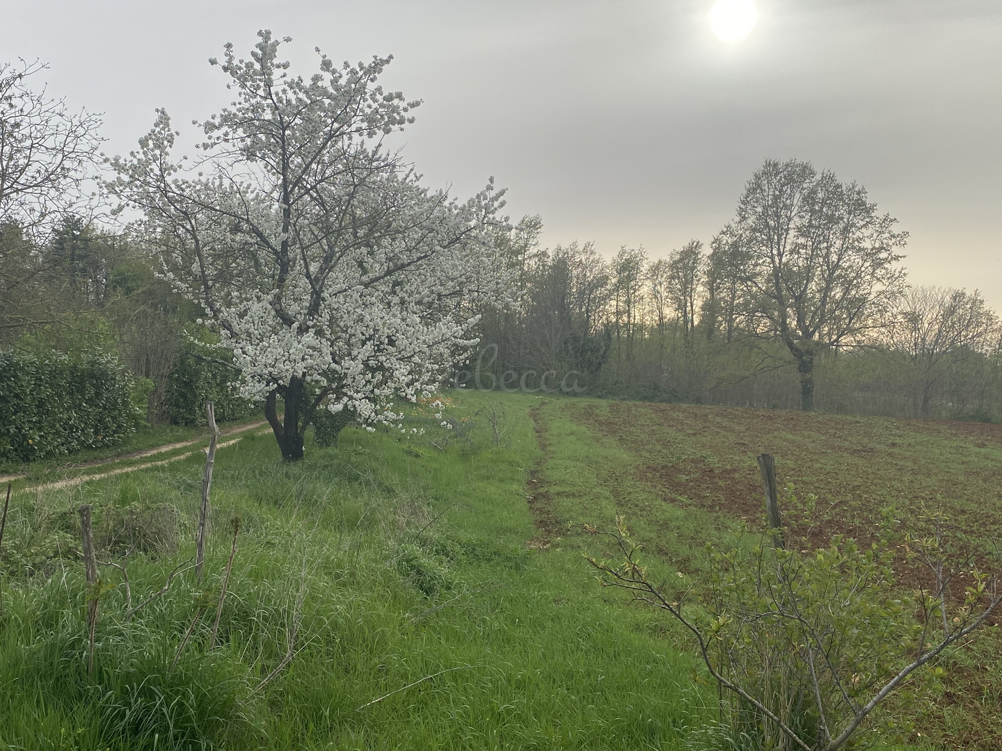 Działka Na sprzedaż - Istarska Pazin