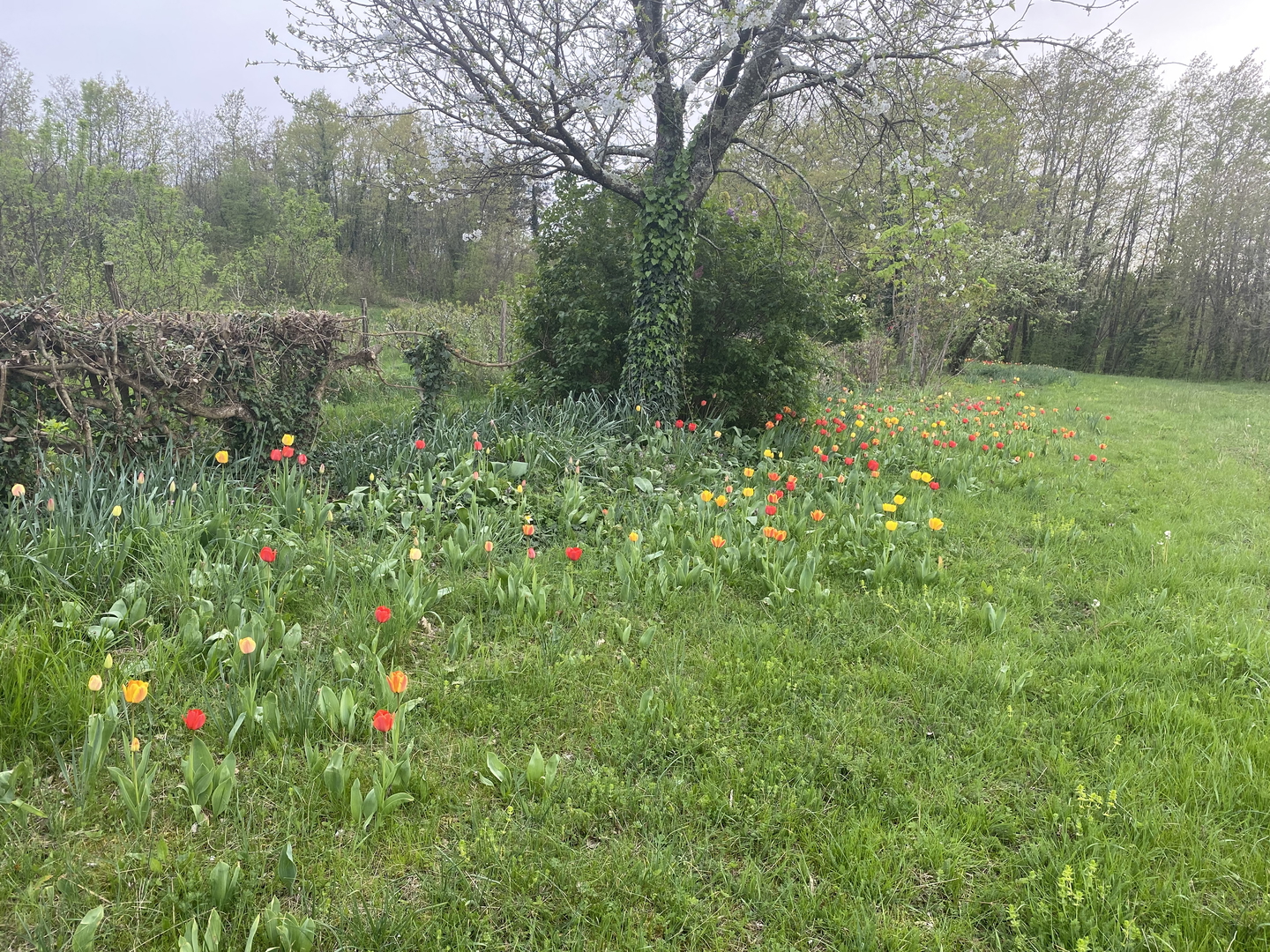 Działka Na sprzedaż - Istarska Pazin - foto 5/11