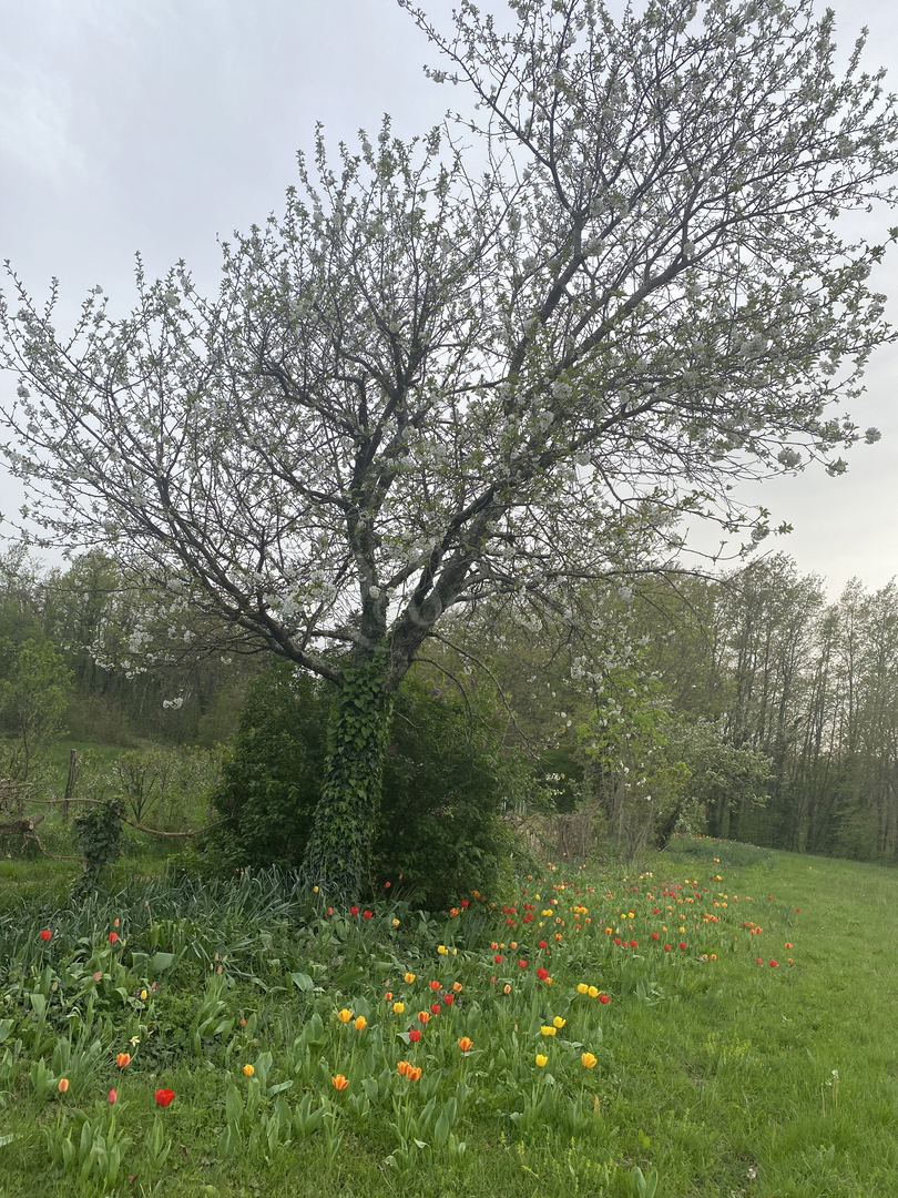 Działka Na sprzedaż - Istarska Pazin