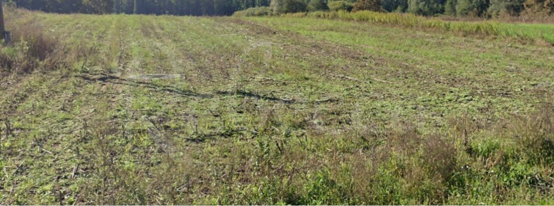 Terrain À vendre - Istarska Medulin - foto 1/1