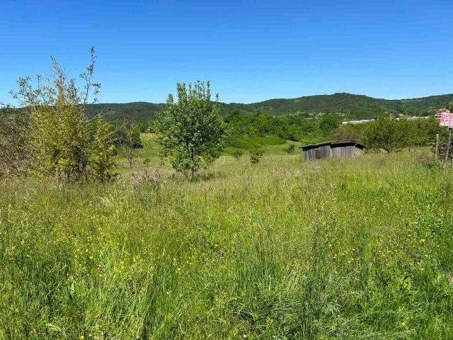 Grundstück zu verkaufen 1000 m² – Pazin