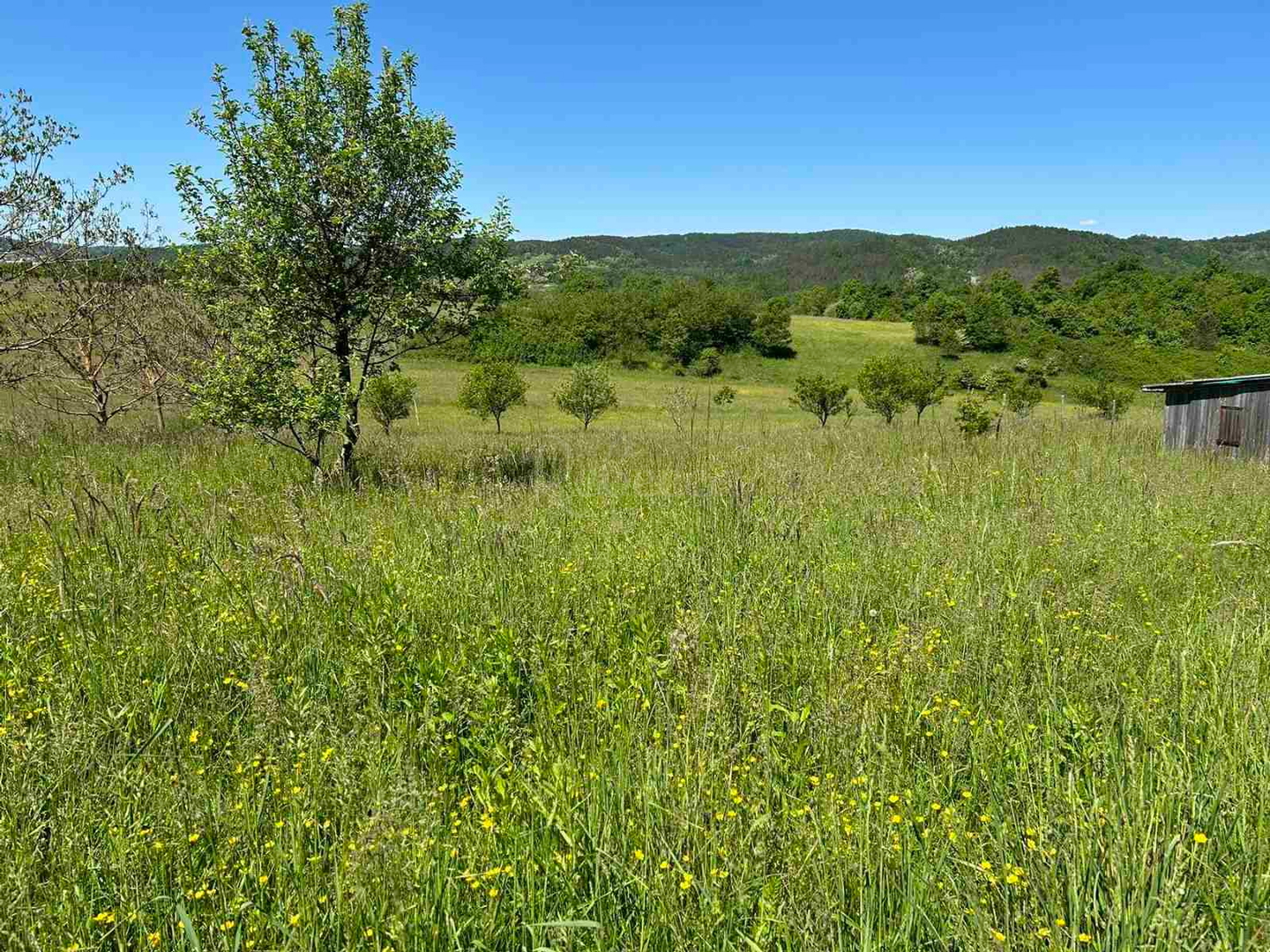 Terrain À vendre - Istarska Pazin - foto 5/6