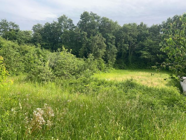 Land For sale - Trviž - foto 2/9