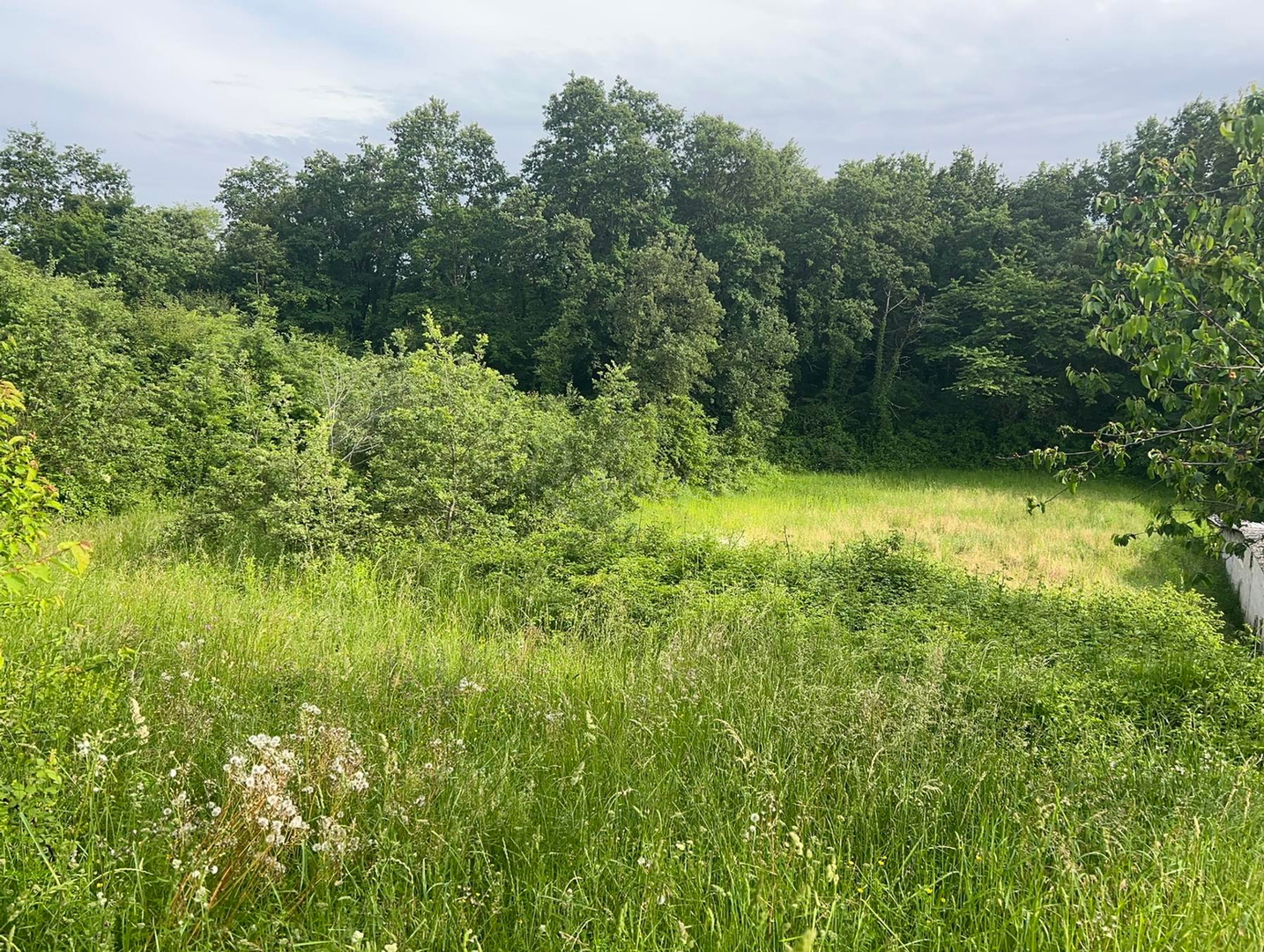 Land For sale -  Trviž
